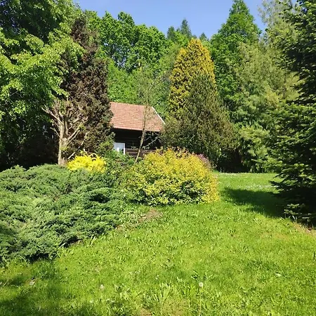 بيت للعطل Trzemcha *