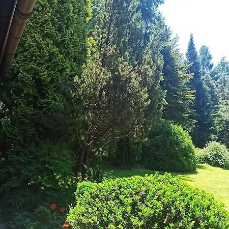 Holiday home Trzemcha *