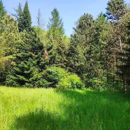 بيت للعطل Trzemcha *