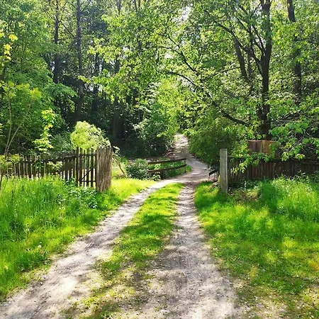 Trzemcha بيت للعطل