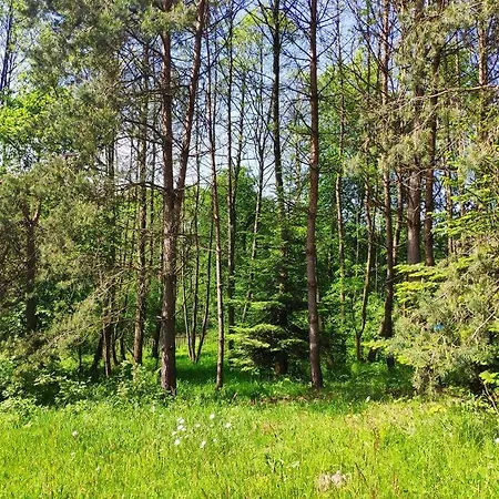 Trzemcha بيت للعطل