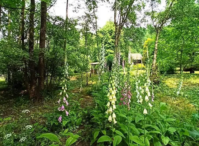 別荘 Trzemcha Tuchow